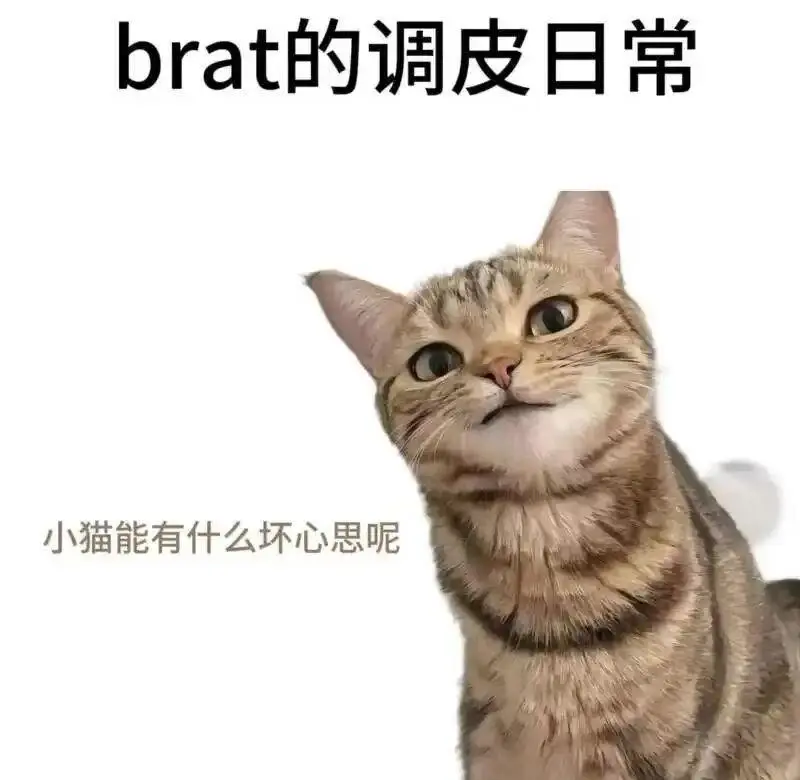 【西檬之家】新人入门：字母圈核心术语详解及安全实践指南