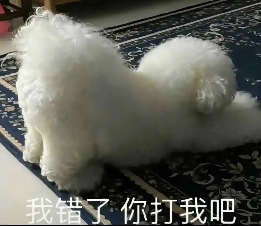 【西檬之家】字母圈新人指南：如何正确理解S倾向与BDSM文化