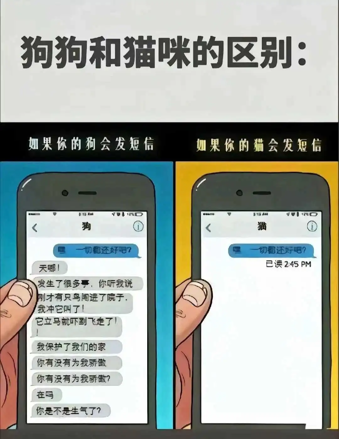 【西檬之家】K9犬系是什么？字母圈新人必知的狗狗扮演指南