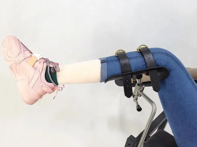 西檬之家-k9犬系是什么意思？字母圈新人必读指南