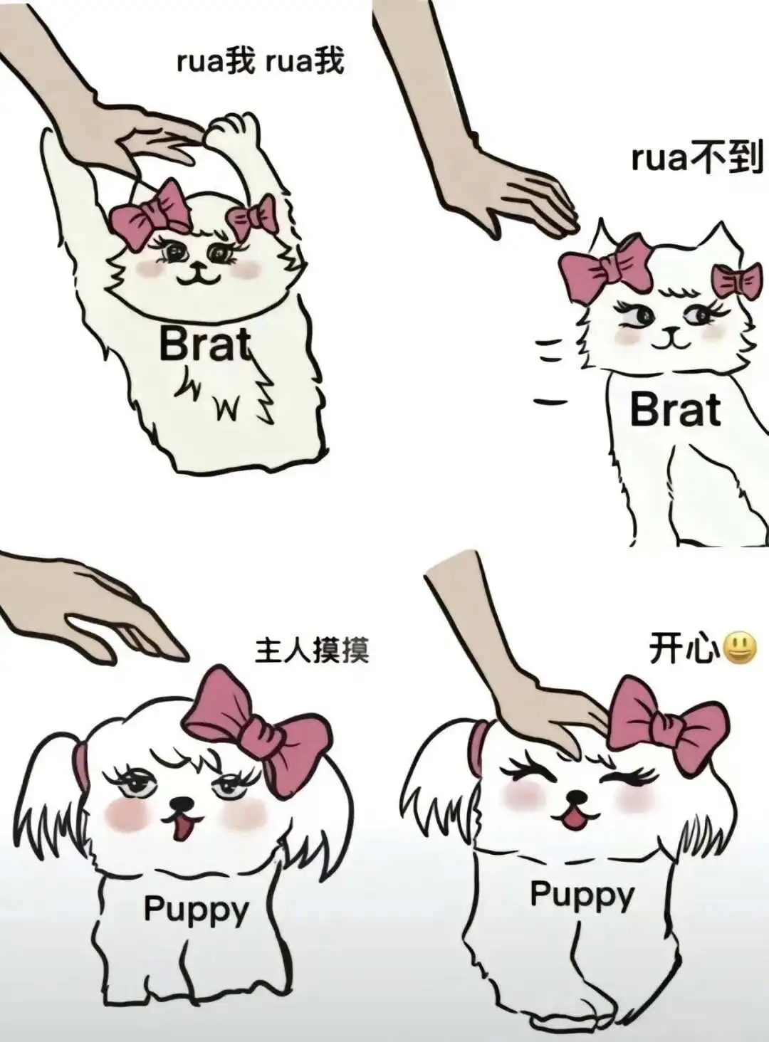 【西檬之家】字母圈管教指南：新人如何建立安全的DS关系？
