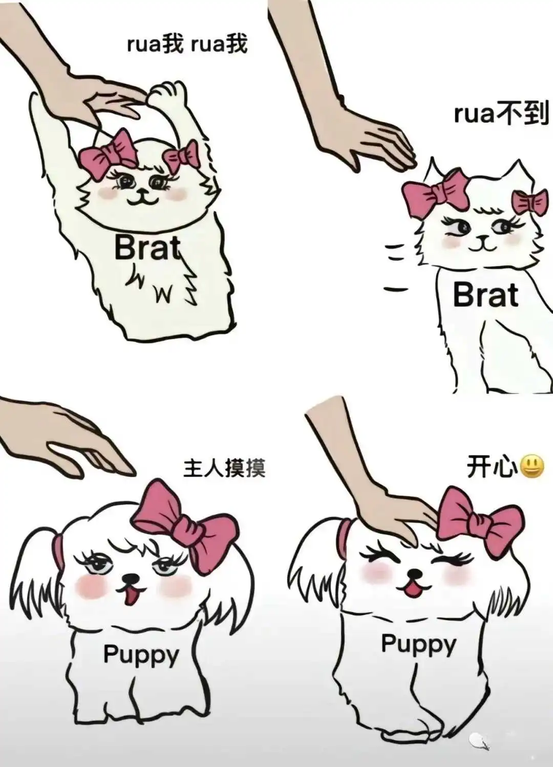 【西檬之家】字母圈新人如何入圈？BDSM实践基础指南