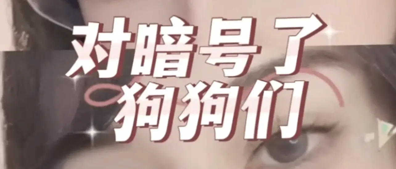 西檬之家-管教是什么？BDSM字母圈新人入圈指南