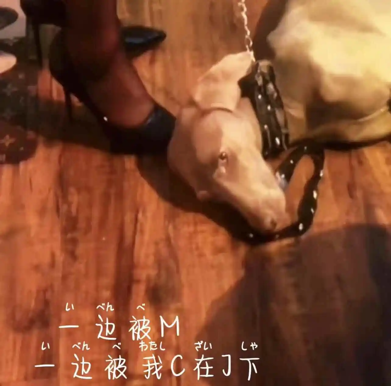 西檬之家-DS关系是什么？一个基于信任与同意的安全实践指南