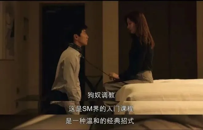 [西檬之家]-字母圈新人的BDSM入门指南：从核心术语到实践基础